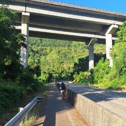 Such tiny supports for a massive concrete bridge!!