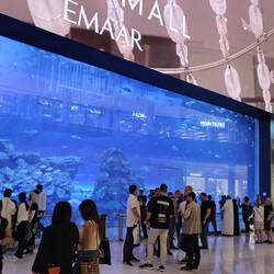 Dubai Mall aquarium (and OLED screen)