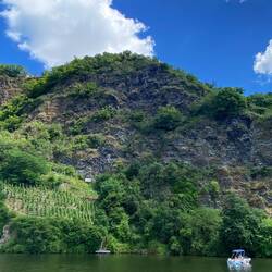 Mosel-Loreley mit Reben, nur per Boot erreichbar