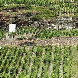 Eine von sechs Sonnenuhr-Lagen an der Mosel