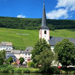 Piesport am Moselufer mit der Lage Piesporter Goldtröpfchen