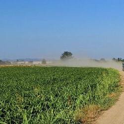 Het land staat hier al eventjes droog