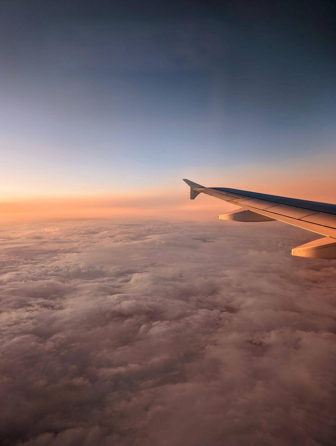 Such pretty cotton balls