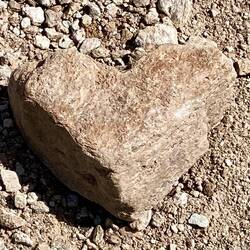 Er liegt mitten im Weg, kein Mensch interessiert's und hebt ihn auf...