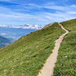 Im Hintergrund: die Berge von Les Diablerets4000