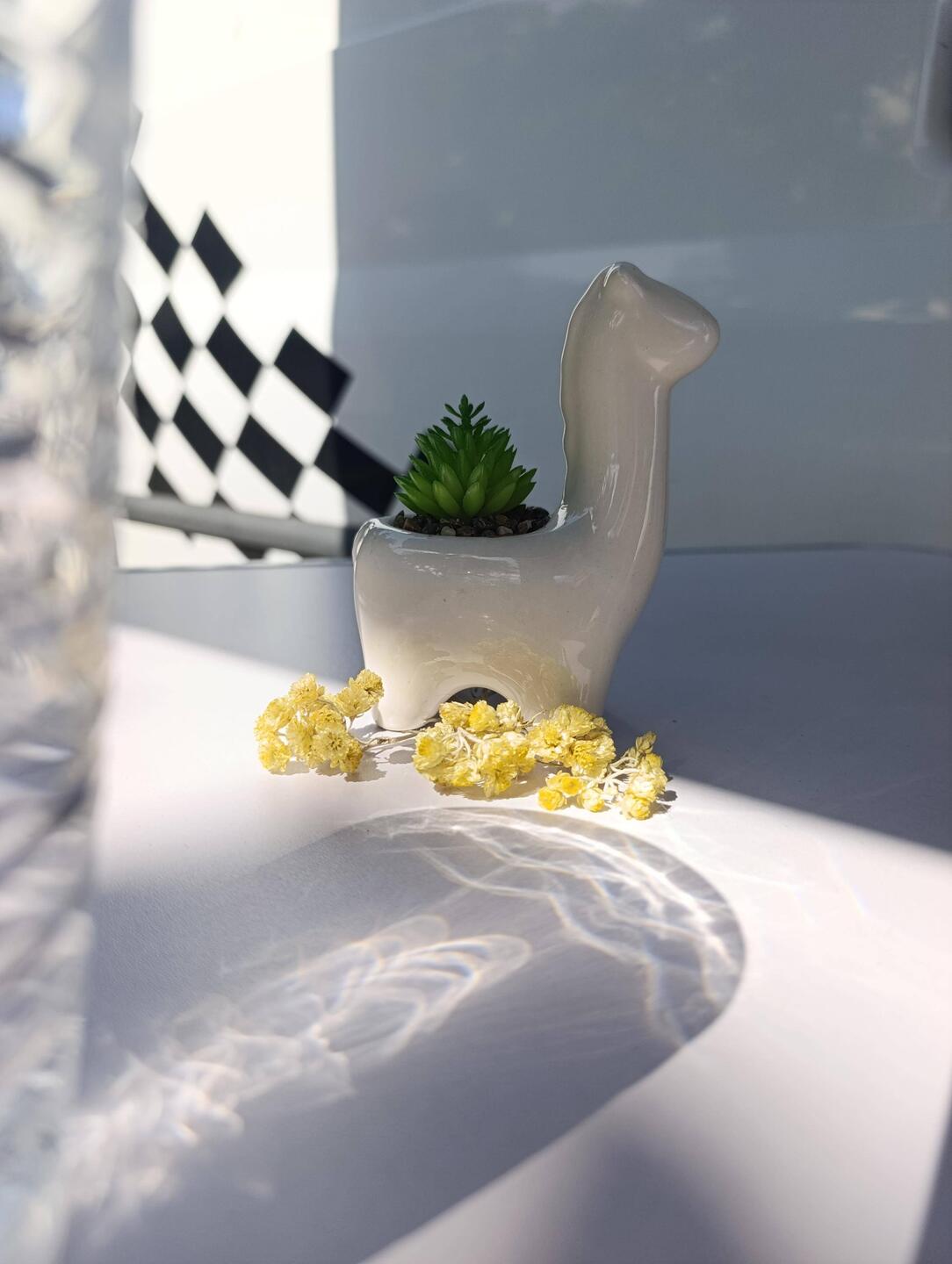 🪴🦙