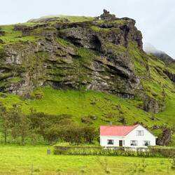 Roadside scenery