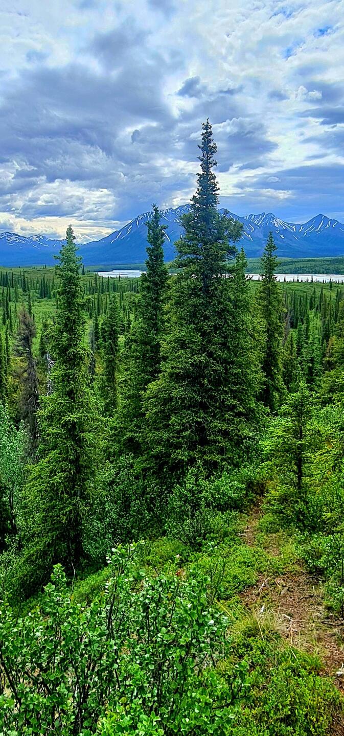 So stellt man sich Alaska vor😃