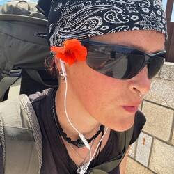 Be like a flower and turn your face to the sun