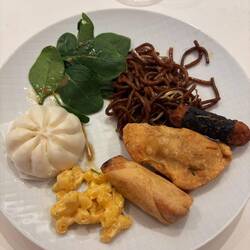 Char siu bao, noodles, spring roll, curry puff, Mac & cheese