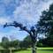 Blount Park has a lot of lovely sculptures.