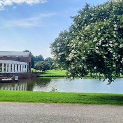Blount Park is 175 acres. There are numerous walking trails and dog areas.