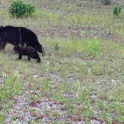 ... ist ja zum Davonlaufen 😝