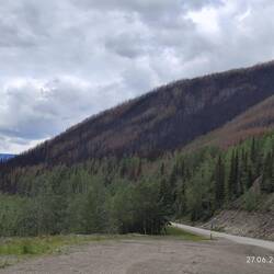 Dann aber auch verbrannte Wälder ...