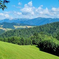 ... und immer wieder, sattes Grün für die Augen!