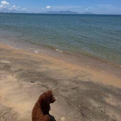 kein perfekte Strand, aber hett mir so guet tah wider am Meer si!