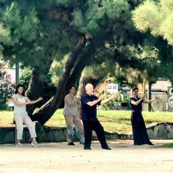 Tai chi