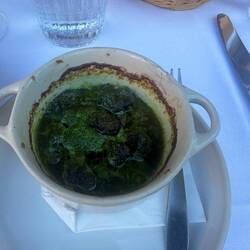 Weinbergschnecken in Petersilienöl