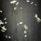 Many jellies