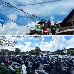 Die Affen begleiten uns auch ausserhalb des Waldes