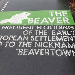 The explanation! Blenheim