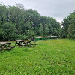 Benches and BBQ stands provided in a mini meadow area