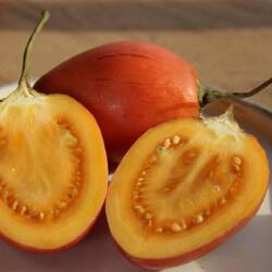 Tamarillo (Baumtomate) 🍅 – schmeckt süss-säuerlich, erinnert an Tomate mit Maracuja-Note 😋.