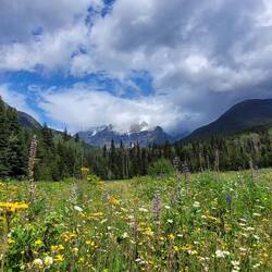 Mount Robson