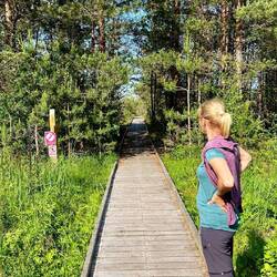 Wieder toll ausgebaute Boardwalks