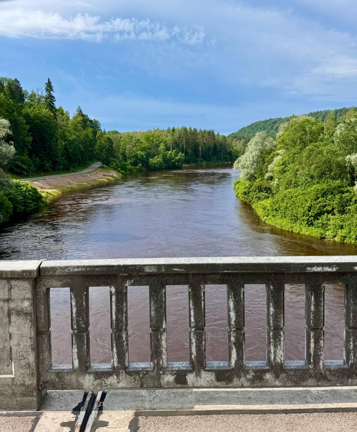 Fluss Gauja