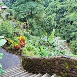 Blick hinunter zum Fluss