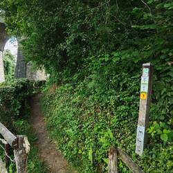 Kurz vor dem Gut "Schlauser Mühle"