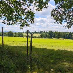Blick auf die Eifel
