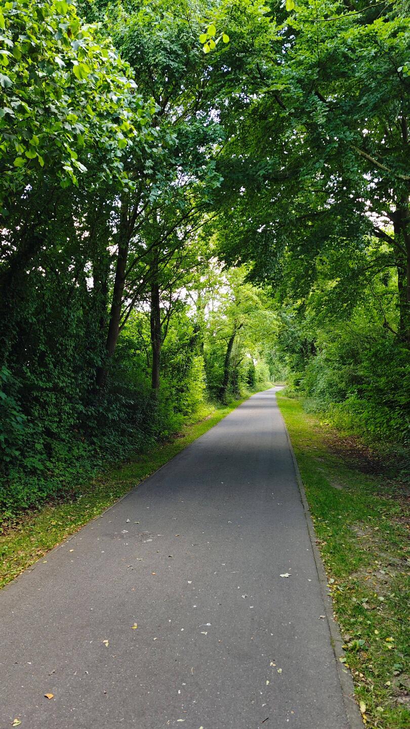 Vennbahnweg bei Aachen
