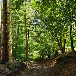 Kurz vor Rott wird es wieder idyllisch.