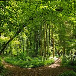 Rechts geht es weiter...