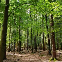 Grün, wohin man schaut!