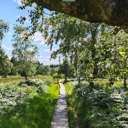 Naturschutzgebiet Struffelt