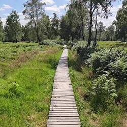 Naturschutzgebiet Struffelt