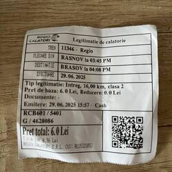 Trotz sprachlicher Verwirrung im richtigen Zug