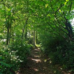 Einfach nur schöne Wege 👍