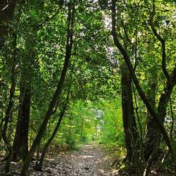 Und noch mehr davon.