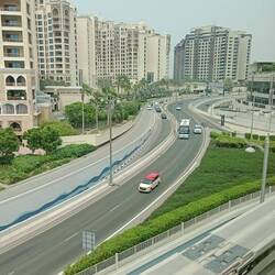 View down the trunk, from the monorail