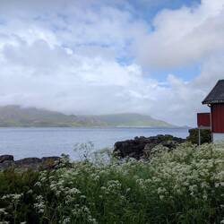 Blick auf den Fjord