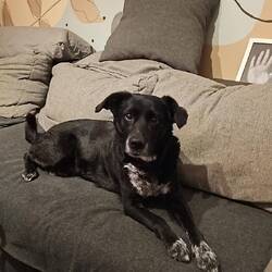 Und endlich wieder Luna kuscheln
