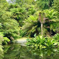 New Zealand at the Lost Gardens of Heligan