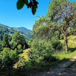 Von der anderen Talseite kam ich her ... und jetzt kurz vor dem steilen Anstieg zum Porezen.