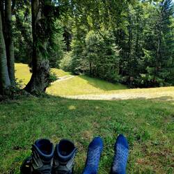 Mittagsrast im Schatten!