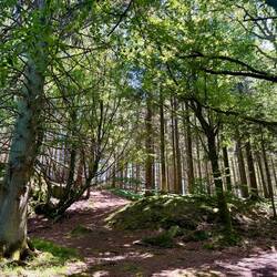 Die Natur ist sehr ursprünglich und wild