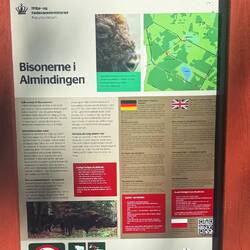 Bisongehege - Info-Tafel